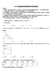 2025年河南省许昌市襄城县中考数学模试卷含解析