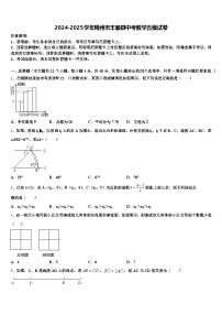 2024-2025学年梅州市丰顺县中考数学五模试卷含解析