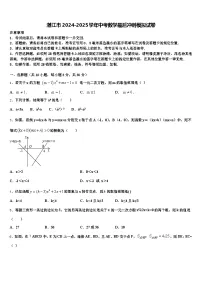 湛江市2024-2025学年中考数学最后冲刺模拟试卷含解析