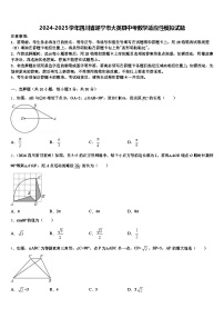 2024-2025学年四川省遂宁市大英县中考数学适应性模拟试题含解析