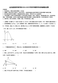 山东省滨州市邹平县2024-2025学年中考数学对点突破模拟试卷含解析