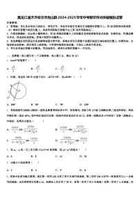 黑龙江省齐齐哈尔市克山县2024-2025学年中考数学对点突破模拟试卷含解析