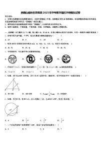 西藏山南地区贡嘎县2025年中考数学最后冲刺模拟试卷含解析