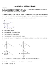 2025年连云港市中考数学适应性模拟试题含解析