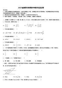 2025届湘潭市湘潭县中考数学仿真试卷含解析