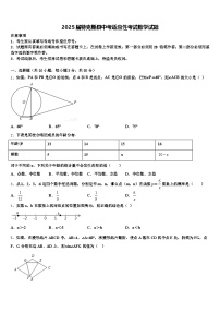 2025届特克斯县中考适应性考试数学试题含解析