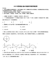 2025年贵州省六盘水市盘县中考数学模试卷含解析