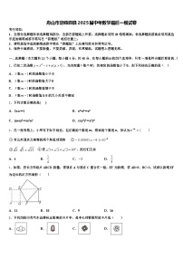 舟山市定嵊泗县2025届中考数学最后一模试卷含解析