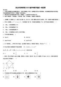 舟山市定嵊泗县2025届中考数学最后一模试卷含解析