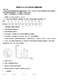饶河县2024-2025学年中考三模数学试题含解析