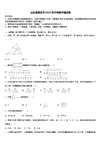 山东省泰安市2025年中考数学模试卷含解析