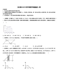 宾川县2025年中考数学考前最后一卷含解析
