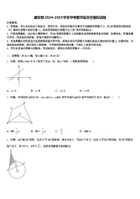 磐安县2024-2025学年中考数学适应性模拟试题含解析