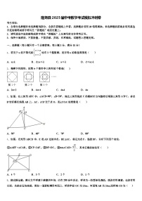 隆尧县2025届中考数学考试模拟冲刺卷含解析