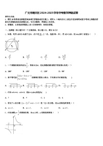 广元市朝天区2024-2025学年中考数学押题试卷含解析