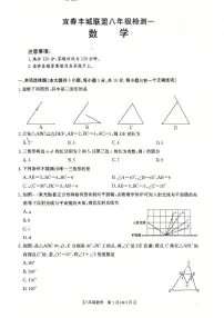 江西省宜春丰城联盟2025-2026学年上学期八年级数学第一次月考试题