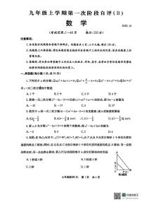 河南省安阳市林州市2025-2026学年九年级上学期第一次月考数学试题B卷
