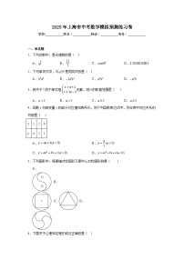 2024-2025学年上海市九年级下学期中考模拟数学试题