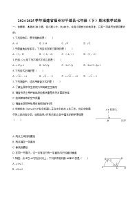 2024-2025学年福建省福州市平潭县七年级（下）期末数学试卷-自定义类型 (1)