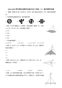 2024-2025学年湖北省荆州市经开区八年级（上）期末数学试卷-自定义类型