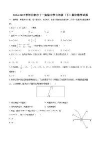 2024-2025学年北京市十一实验中学七年级（下）期中数学试卷-自定义类型