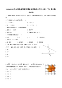 2024-2025学年河北省邯郸市冀南新区精英中学七年级（下）期中数学试卷-自定义类型 (1)