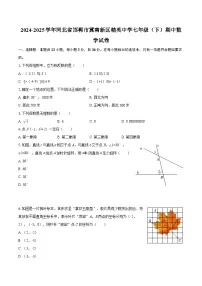 2024-2025学年河北省邯郸市冀南新区精英中学七年级（下）期中数学试卷-自定义类型 (1)
