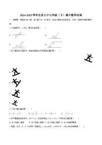 2024-2025学年北京七中七年级（下）期中数学试卷-自定义类型