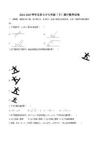 2024-2025学年北京七中七年级（下）期中数学试卷-自定义类型