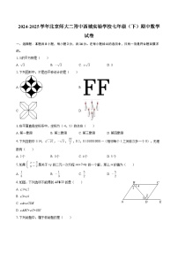 2024-2025学年北京师大二附中西城实验学校七年级（下）期中数学试卷-自定义类型