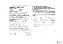 山东省青岛市城阳第十三中学2025-2026学年九年级上学期10月月考数学试题