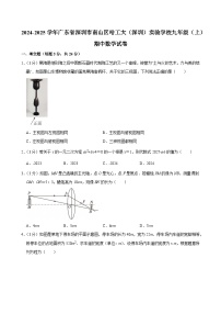 2024-2025学年深圳市南山区哈工大深圳实验学校九年级上学期期中数学试卷及答案