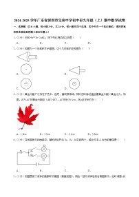 2024-2025学年深圳市宝安中学九年级上学期期中数学试卷及答案