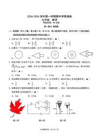 2024-2025学年深圳市宝安区九年级上学期期中数学试卷及答案