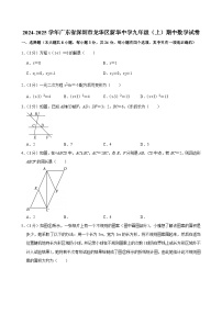 2024-2025学年深圳市龙华区新华中学九年级上学期期中数学试卷及答案