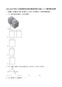 2024-2025学年深圳市龙华外国语学校九年级上学期期中数学试卷及答案