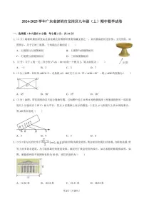 2024-2025学年深圳市龙岗区九年级上学期期中数学试卷及答案