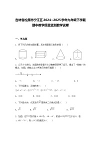 吉林省松原市宁江区2024~2025学年九年级下学期期中教学质量监测数学试卷（含答案解析）
