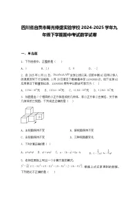 四川省自贡市蜀光绿盛实验学校2024-2025学年九年级下学期期中考试数学试卷（含答案解析）