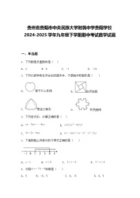 贵州省贵阳市中央民族大学附属中学贵阳学校2024-2025学年九年级下学期期中考试数学试题（含答案解析）