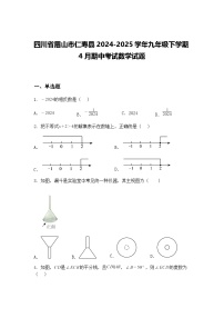 四川省眉山市仁寿县2024-2025学年九年级下学期4月期中考试数学试题（含答案解析）