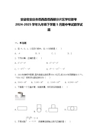 安徽省安庆市岳西县岳西部分片区学校联考2024-2025学年九年级下学期5月期中考试数学试题（含答案解析）