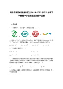 湖北省襄阳市宜城市五校2024-2025学年九年级下学期期中学业质量监测数学试卷（含答案解析）