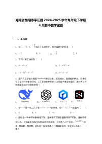 湖南省岳阳市平江县2024-2025学年九年级下学期4月期中数学试题（含答案解析）