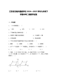江苏省无锡外国语学校2024—2025学年九年级下学期中考二模数学试题（含答案解析）