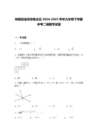 陕西省宝鸡市陈仓区2024-2025学年九年级下学期中考二模数学试题（含答案解析）