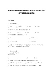 甘肃省张掖市山丹县清泉学校2024-2025学年九年级下学期期中数学试卷（含答案解析）