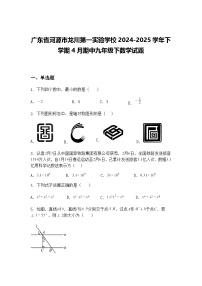 广东省河源市龙川第一实验学校2024-2025学年下学期4月期中九年级下数学试题（含答案解析）