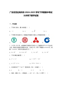 广东省茂名高州市2024-2025学年下学期期中考试九年级下数学试题（含答案解析）
