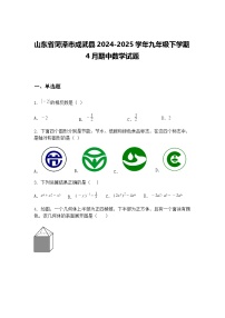 山东省菏泽市成武县2024-2025学年九年级下学期4月期中数学试题（含答案解析）